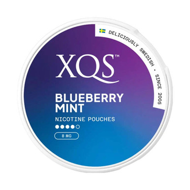 XQS - Blueberry Mint 8mg · 4-dots — buy online at VapeCity UK