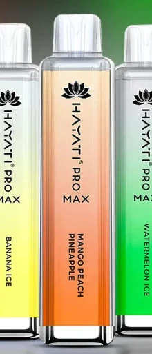 Hayati Pro Max 4000 Pod Kit photo 2