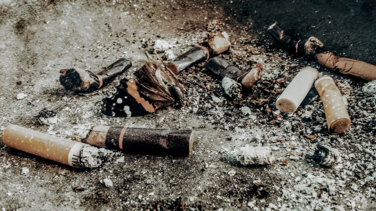 Discarded cigarette ends on the ground, the habit you leave behind when you stop smoking