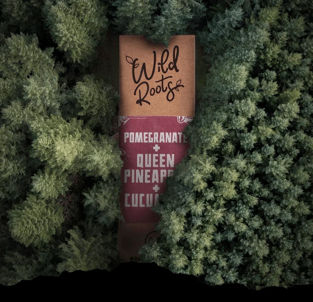 Aerial view of a dense green forest with a Wild Roots e-liquid bottle appearing among the trees, representing the OneBottleOneTree eco initiative