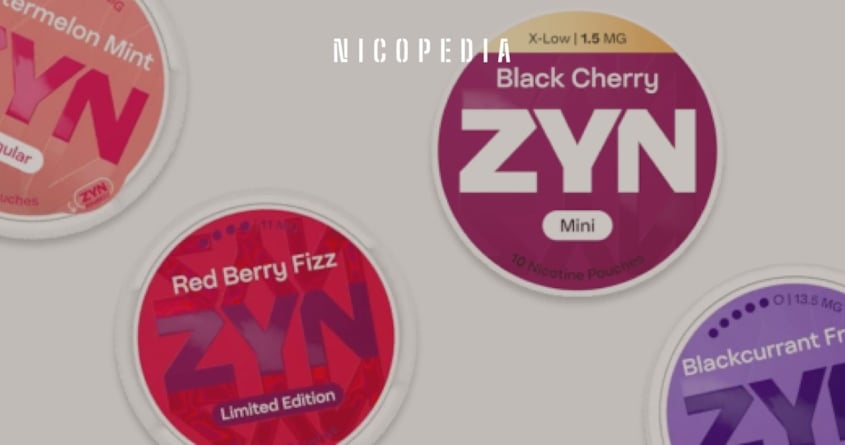 ZYN nicotine pouches guide showing how to use nicotine pouches correctly