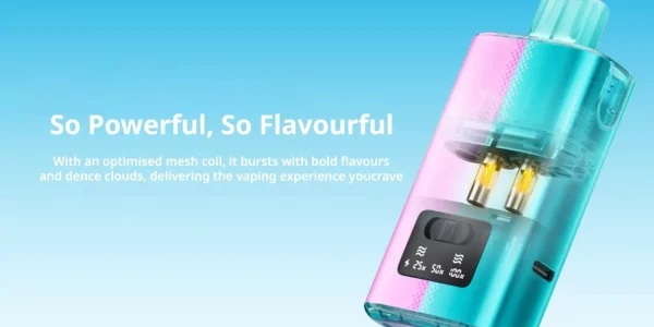 Elf Bar Dual 10K pod showing the twin mesh coils and the flavour-switch display