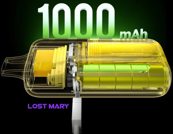 Lost Mary BM6000 cutaway showing the 1000mAh rechargeable battery