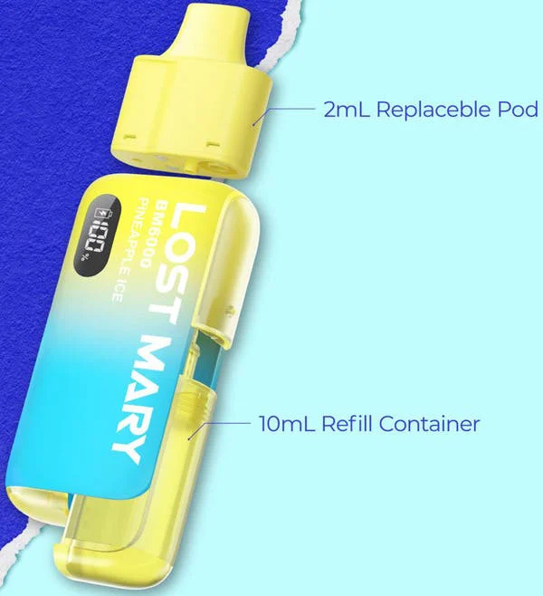 Lost Mary BM6000 pod system: a 2ml replaceable pod and a 10ml refill container