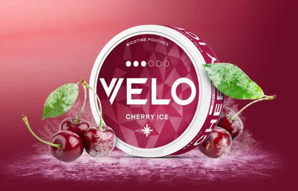 Velo Cherry Ice nicotine pouch tin on a dark crimson background surrounded by frost-dusted cherries