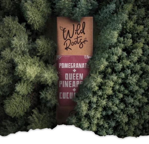 Aerial view of forest canopy with a Wild Roots Pomegranate shortfill bottle - Wild Roots eco mission, one bottle one tree planted
