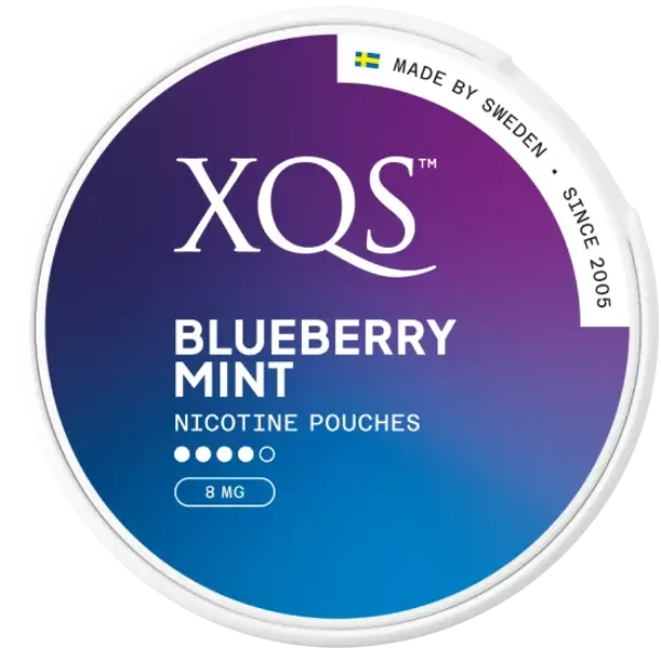 XQS Blueberry Mint nicotine pouches can