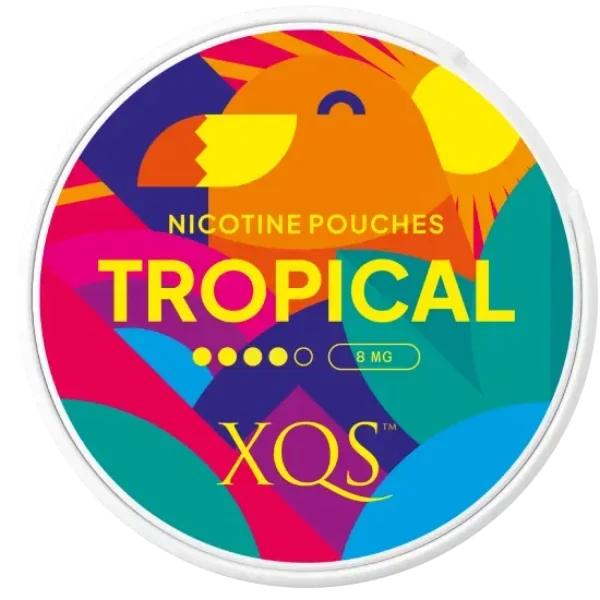 XQS Tropical nicotine pouches can